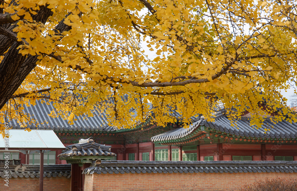 Gyeongbokgung palace in autumn Seoul,South Korea.
