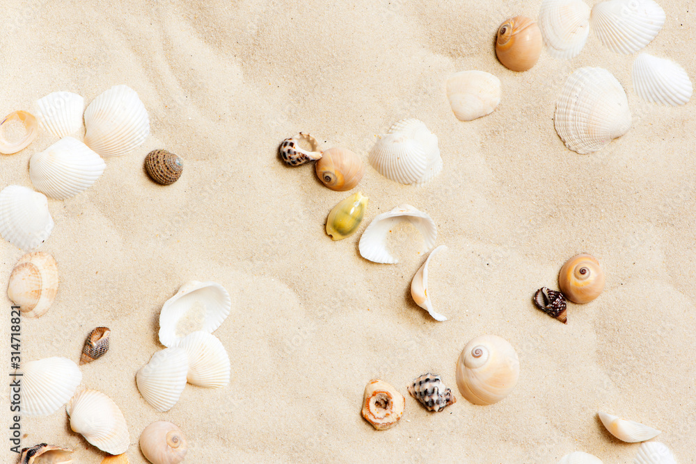 Summer travel pattern with various seashells on the sand