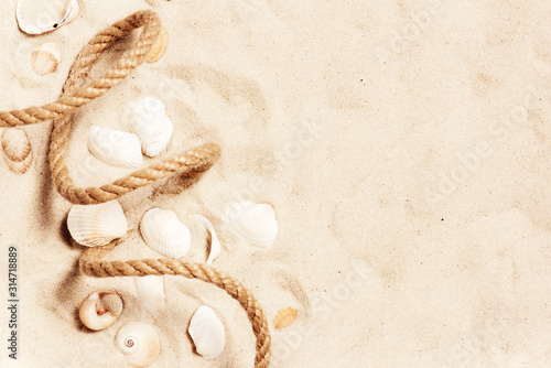 Rope and shells on the sand, travel summer background