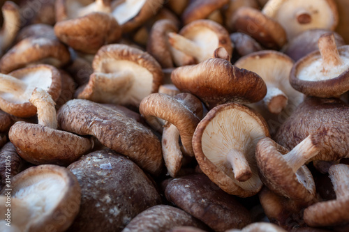 A view of a box full of fresh shiitake mushrooms on display at a local farmers market.