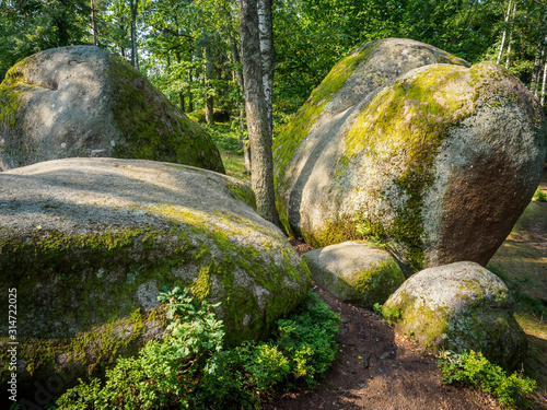 Summer in the Blockheide Nature Park in Gmünd in the Waldviertel photo