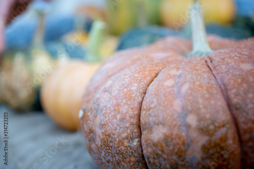 A closeup view of several rustic pumpkin varieties on display at a local farmers market.