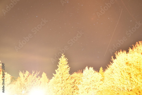 Stars in the night sky