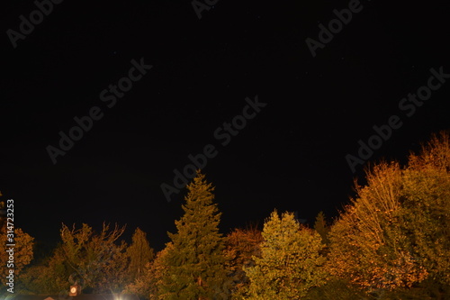 Stars in the night sky