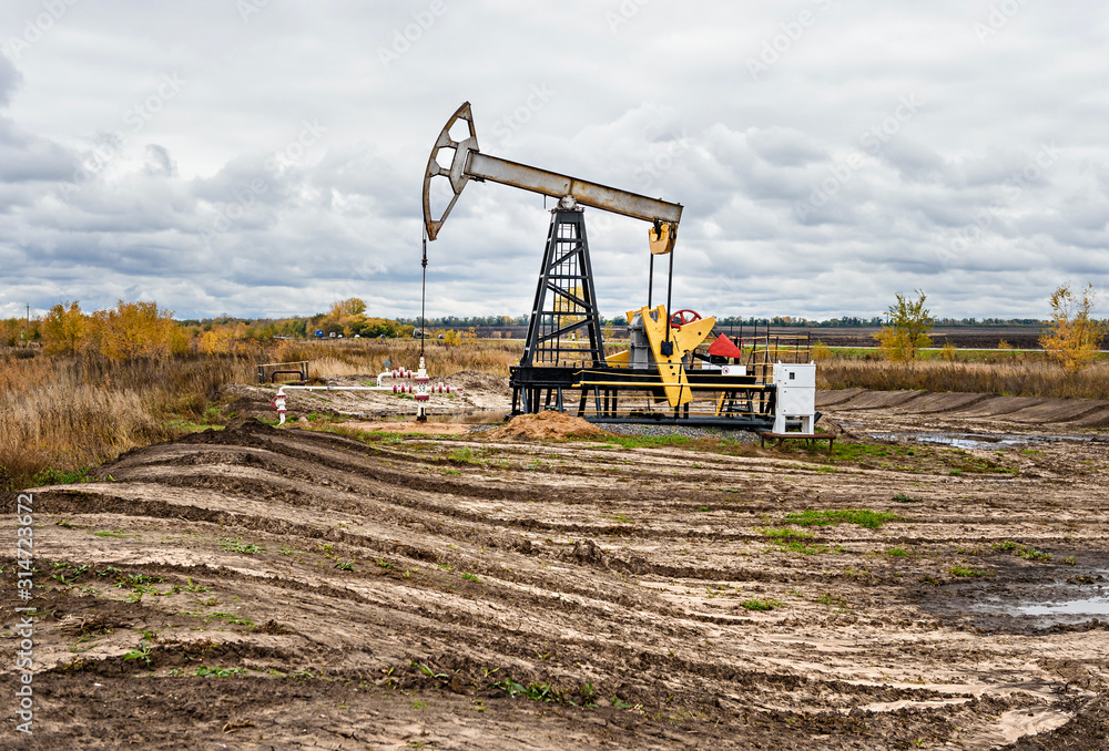 Obraz premium Oil pumps. Oil rocking chair. Equipment for the oil industry. Industrial landscape