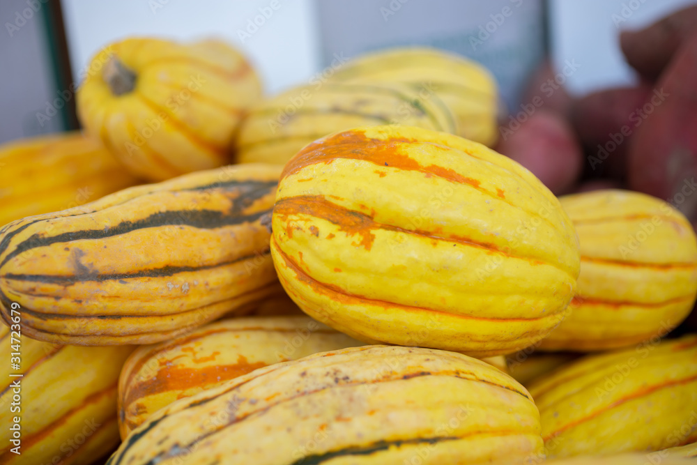 A closeup view of several delicata squash on display at a local farmers market.