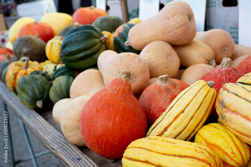 A view of several varieties of squash on display at a local farmers market.
