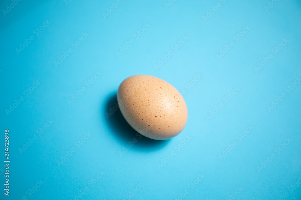 Fresh Easter Egg on a Blue Background. Happy Easter Fresh Easter Egg on a Blue Background. Happy Easter