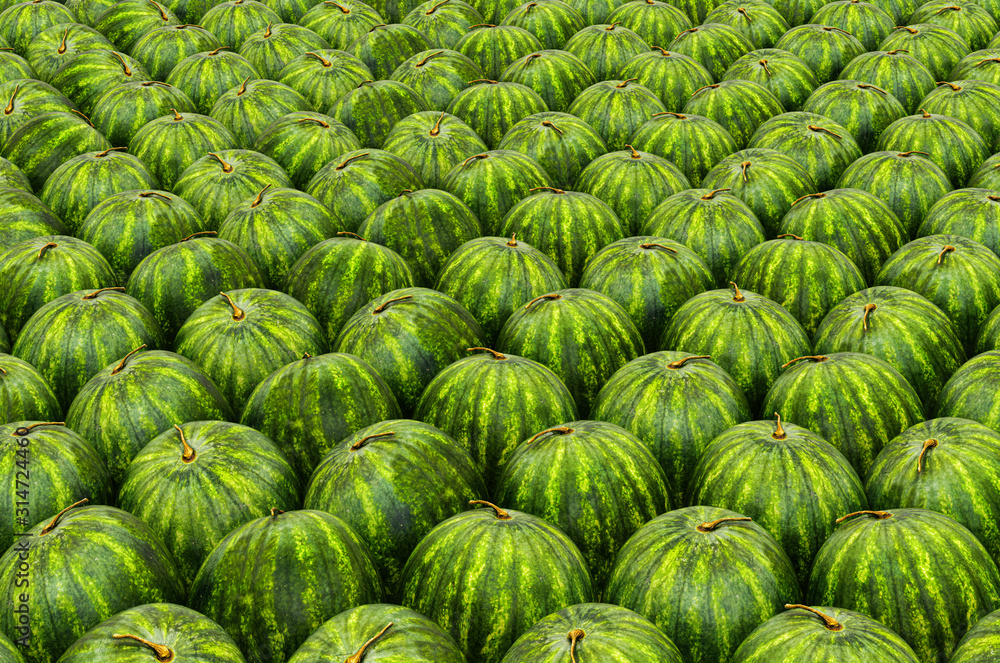 Background from watermelons with realistic texture, 3D rendering Background from watermelons with realistic texture, 3D rendering