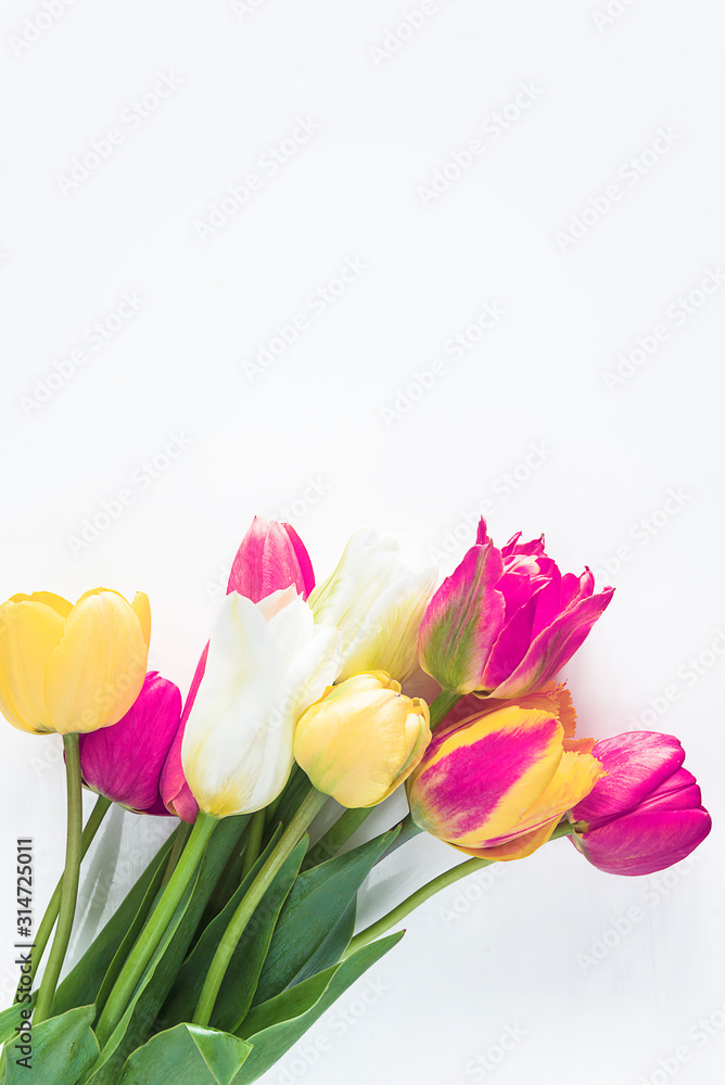 Bunch of tulips on a white background. Copy space, flat lay, vertical picture
