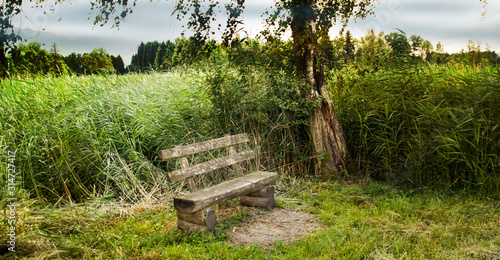 Lustenauer Ried - Naturschutzgebiet