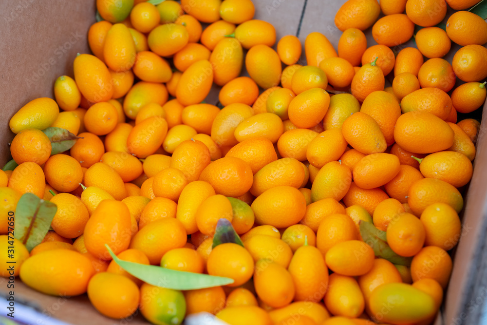 A box full of nagami kumquat citrus fruit on display at a local farmers market. A box full of nagami kumquat citrus fruit on display at a local farmers market.