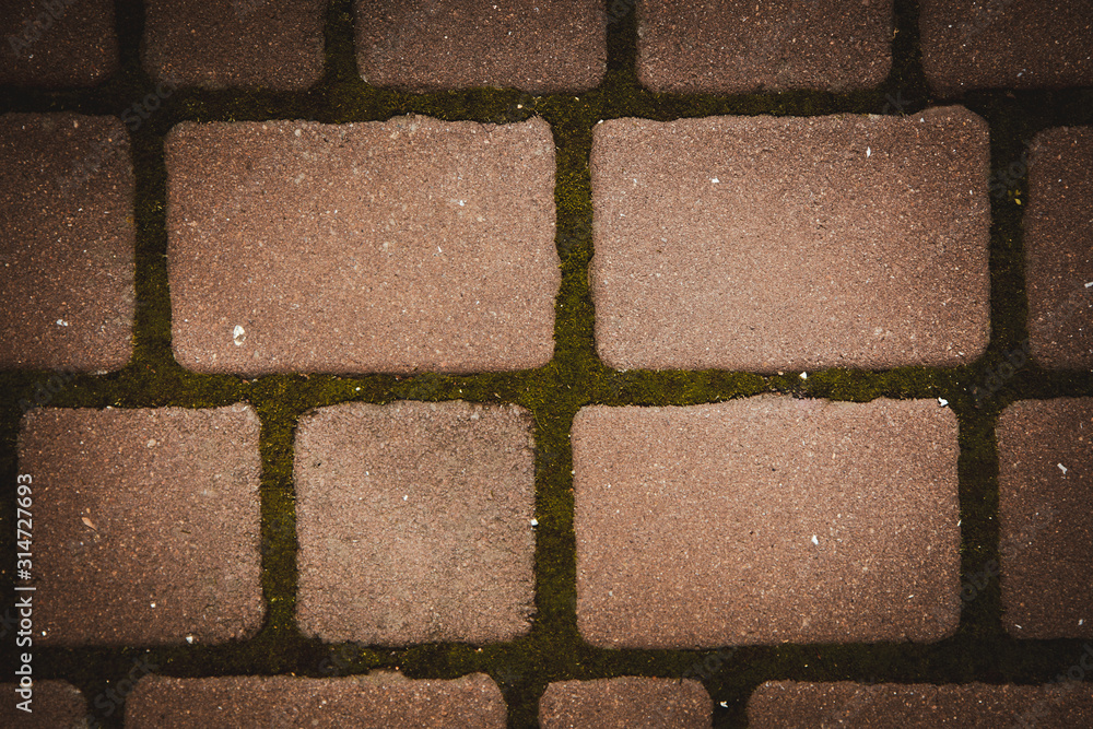 Fototapeta premium paving texture background
