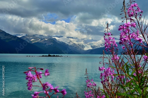 Beautiful blue Garibaldi Lake surrounded by high mountains covered with glacier. Stone pyramids in lake, pink flowers on bank. Sunny day, blue sky, white clouds.