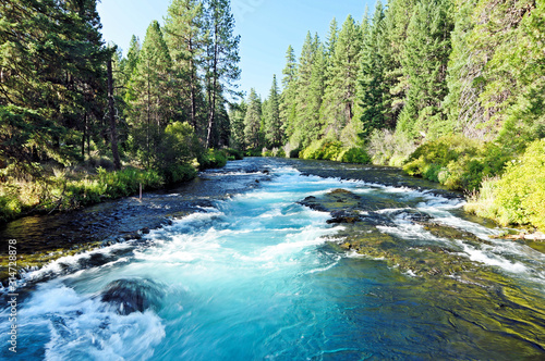 Fototapeta Naklejka Na Ścianę i Meble -  spring fed river in Oregon