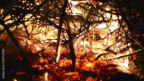 Burning fire. Bonfire. Closeup of flames burning on black background. Burning red hot sparks rise from large fire in the night sky. Bonfire burning trees at night. 