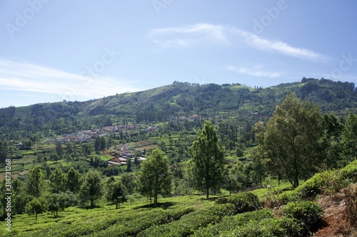 Landscape mountain with blue sky