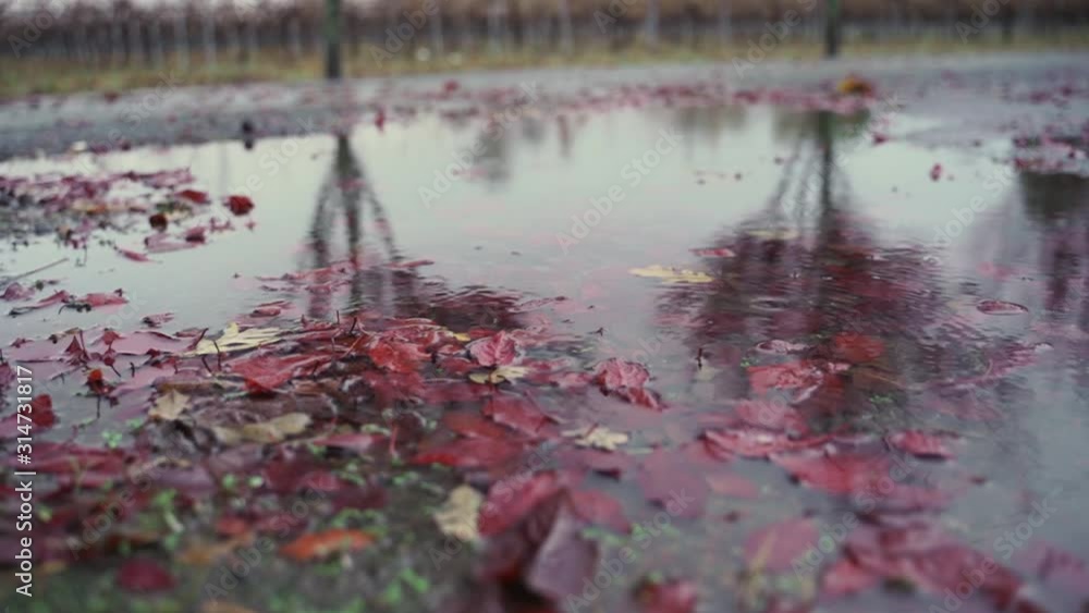 zooming in a puddle filled with leaves while sprinkle of water hits the reflection zooming in a puddle filled with leaves while sprinkle of water hits the reflection