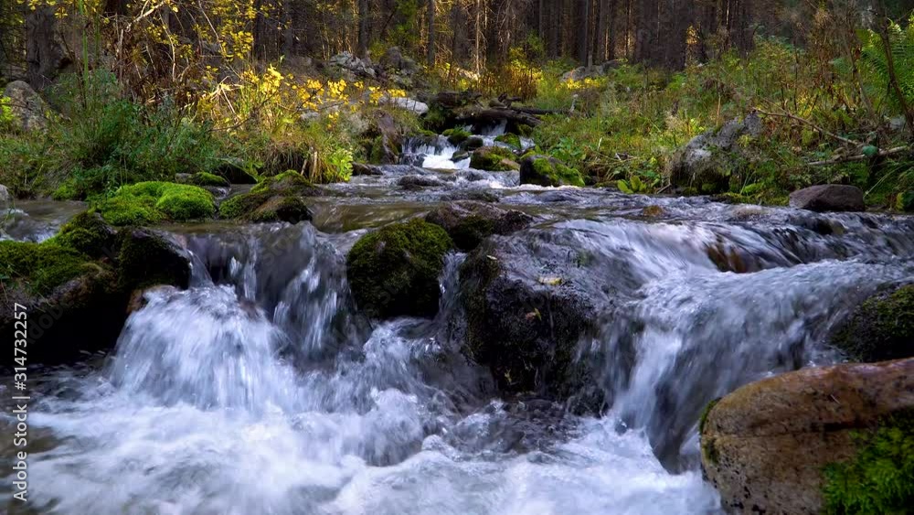 mountain river in summer season mountain river in summer season