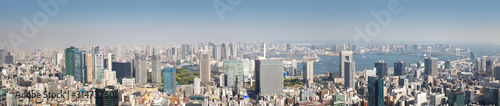 panoramic view to the Tokyo, Japan from air © candy1812