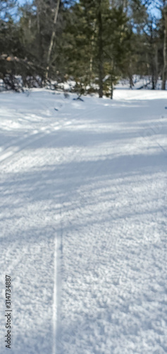 road in winter forest