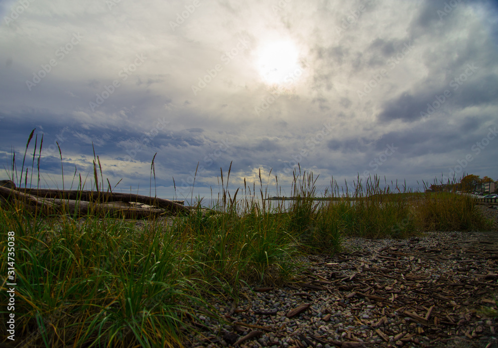 Grassy beach Vancouver island