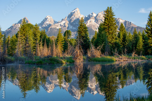 tetons in the morning  © Curry