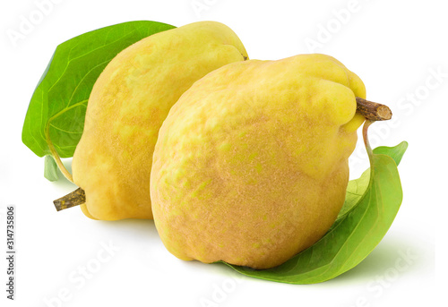 Papier peint Isolated quince fruits