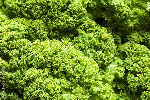 Fresh green kale leaves as background  closeup