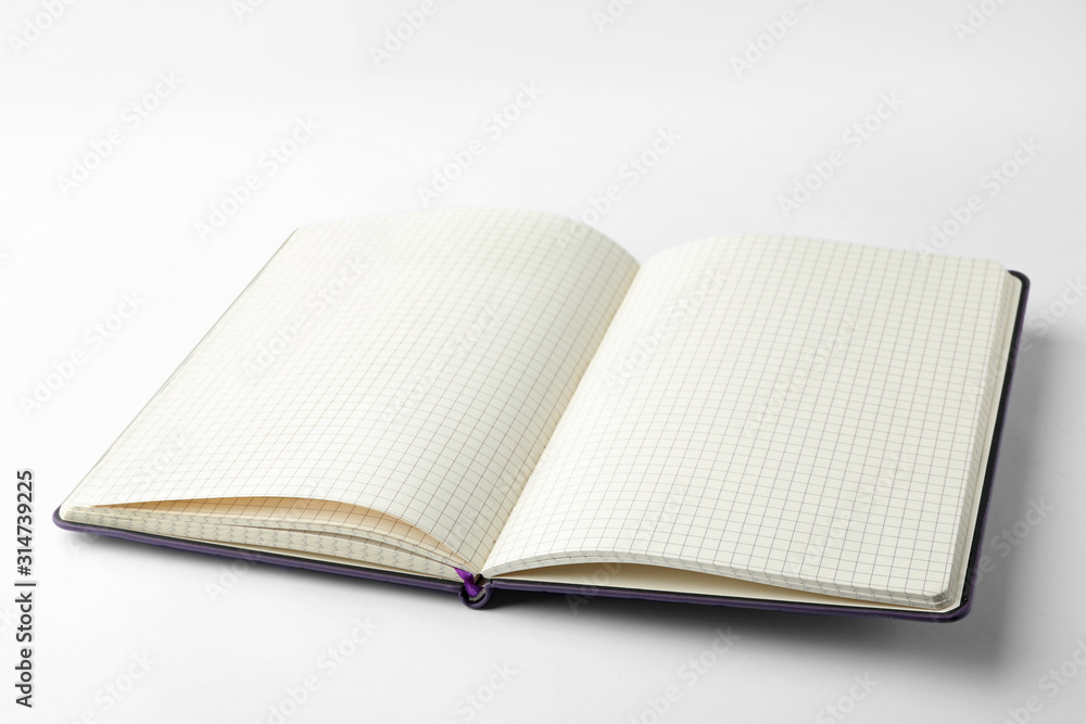 Stylish open notebook with blank sheets isolated on white Stylish open notebook with blank sheets isolated on white