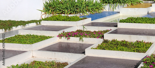 Fotografía modern garden