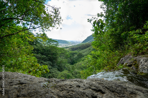 A hike up Manoa falls