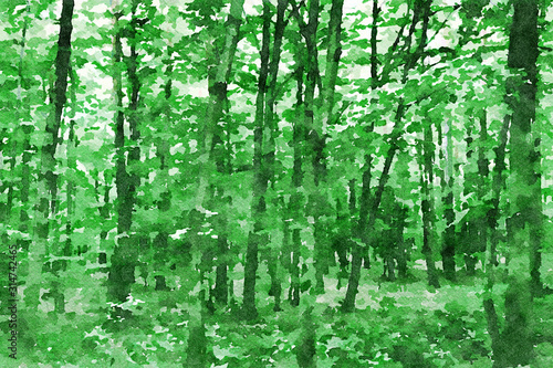 Digital art painting canvas - green toned abstract lush forest (watercolor effect) © WDnet Studio