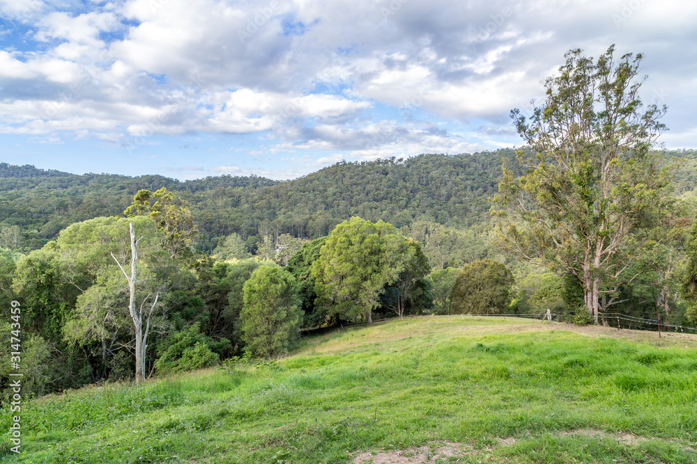 Grass paddock with wire fence backing onto green forest hill range