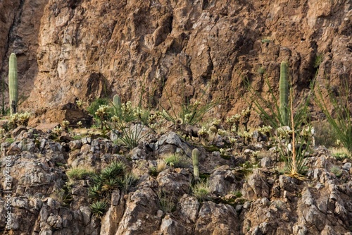 Ram traverses mountain