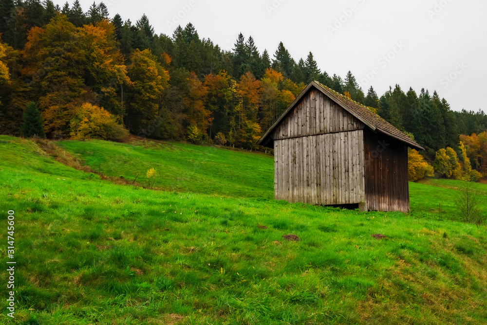 Germany - Woodshed All Alone on the Farm - Baden Baden