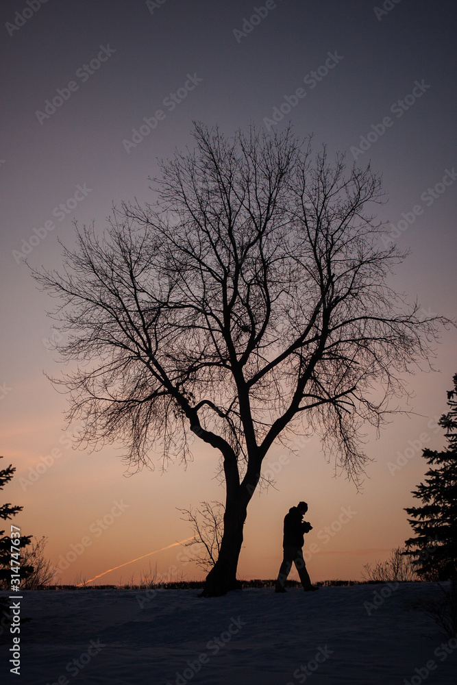 man walking under a lonely tree on a sunset background man walking under a lonely tree on a sunset background