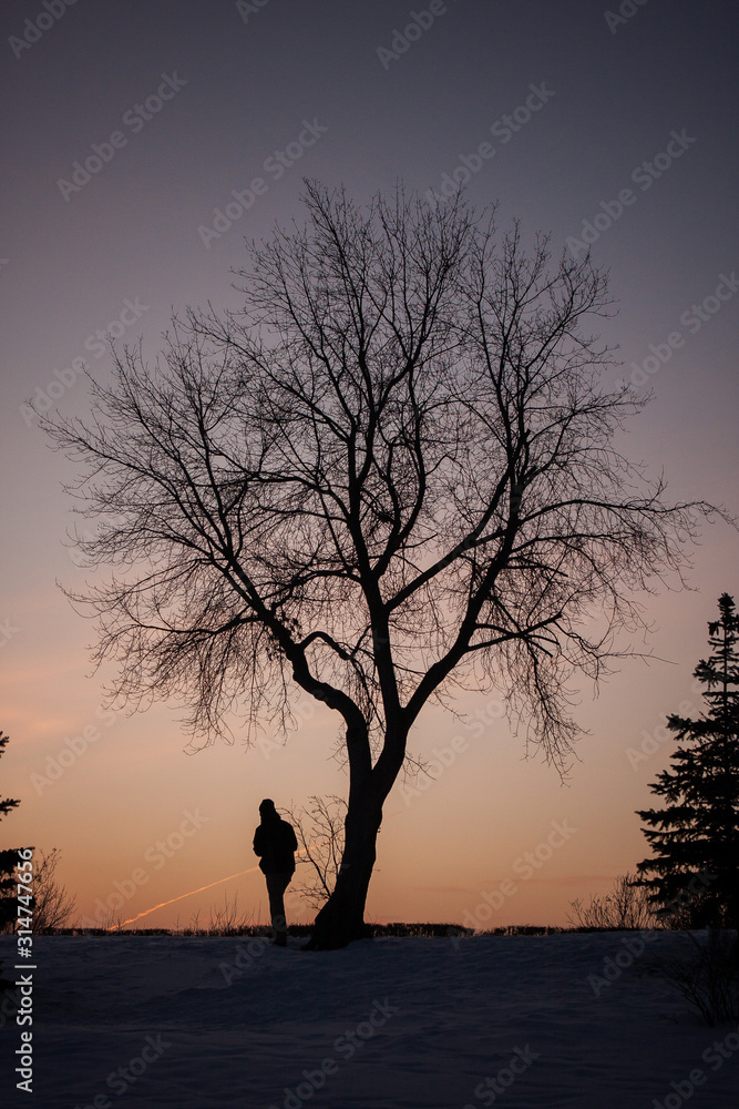 man walking under a lonely tree on a sunset background