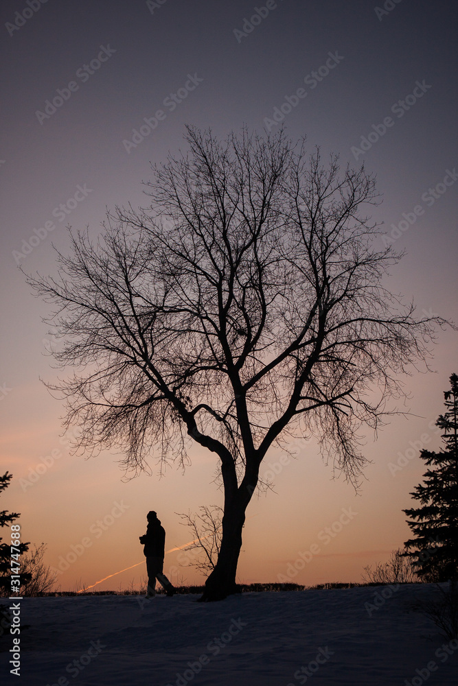 man walking under a lonely tree on a sunset background man walking under a lonely tree on a sunset background