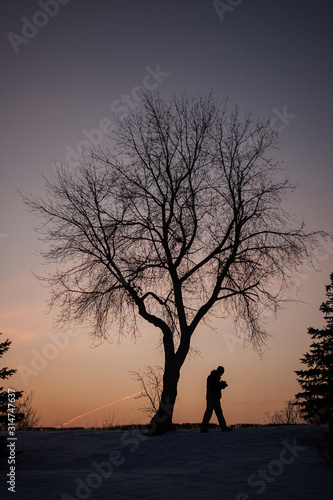 man walking under a lonely tree on a sunset background