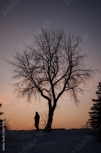 man walking under a lonely tree on a sunset background