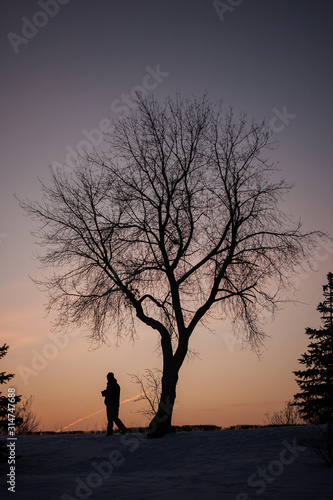man walking under a lonely tree on a sunset background