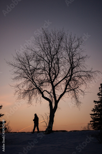 man walking under a lonely tree on a sunset background