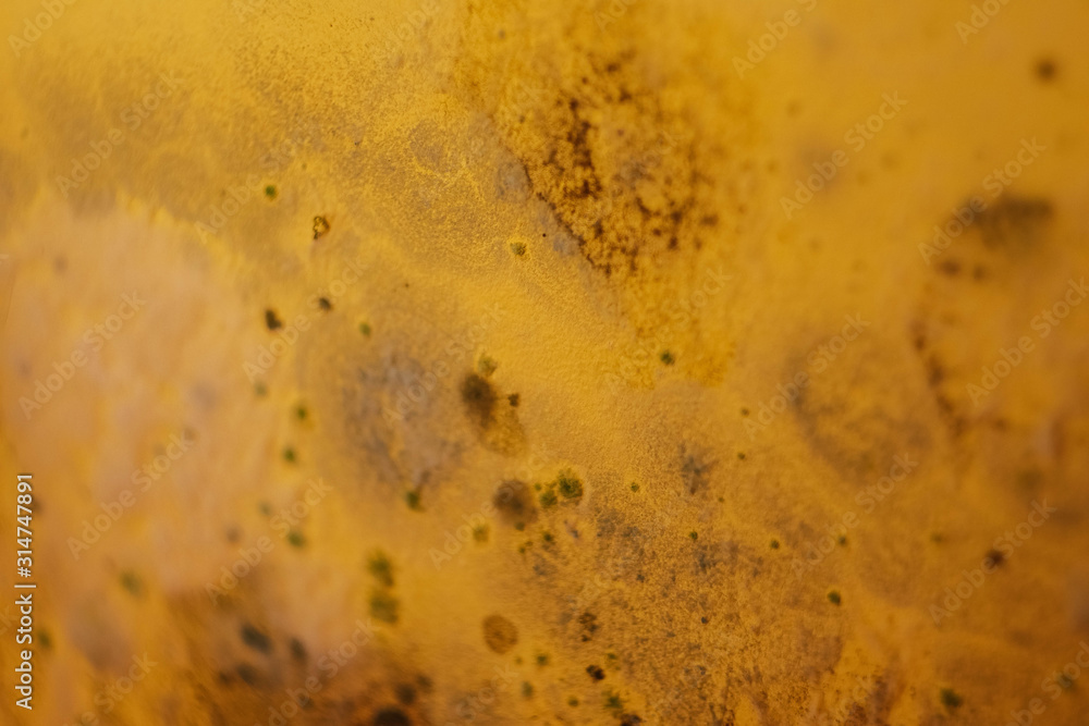 Close up black mold on the wall at home. Removing mold. Wall damage Close up black mold on the wall at home. Removing mold. Wall damage