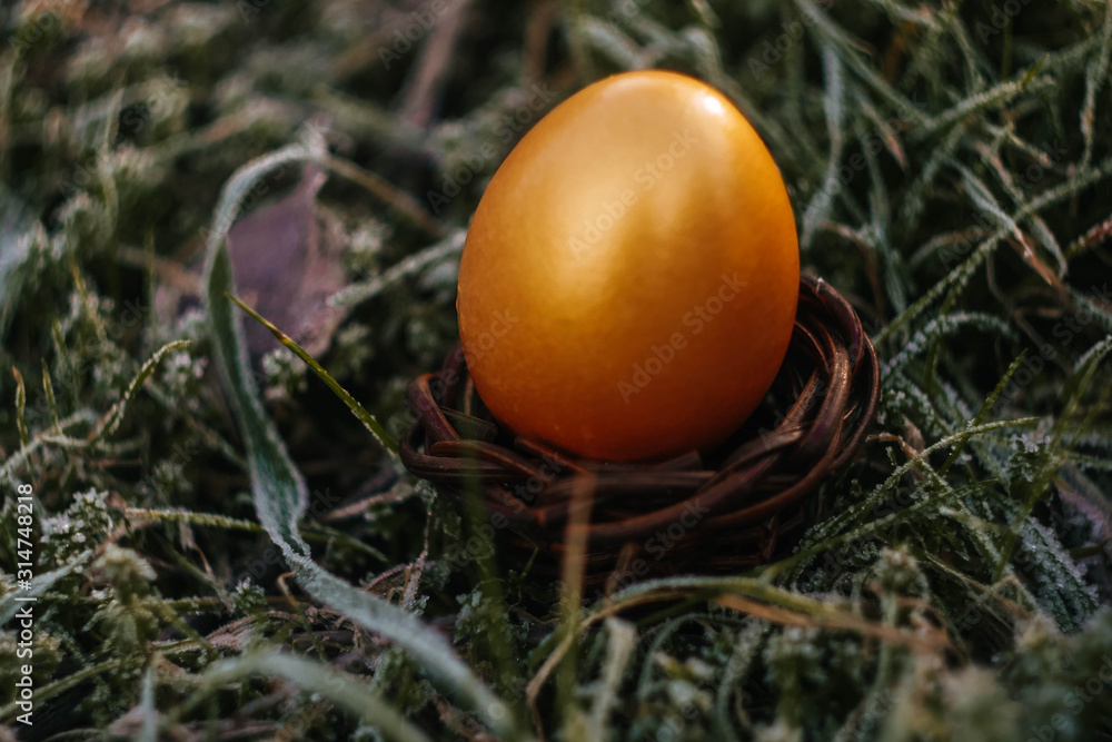 Golden egg on spring grass at sunny day. Easter wallpaper copy space. Eggs search. Sun rays fall on meadow. Celebrating spring holidays. Nature holiday background. frozen grass. Golden egg on spring grass at sunny day. Easter wallpaper copy space. Eggs search. Sun rays fall on meadow. Celebrating spring holidays. Nature holiday background. frozen grass.