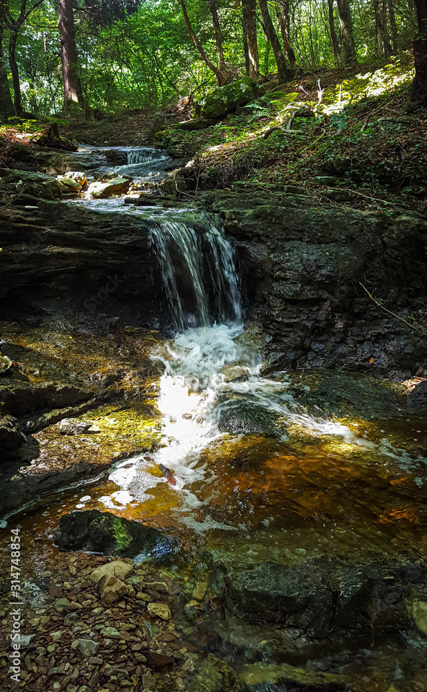 Fototapeta premium Mountain stream