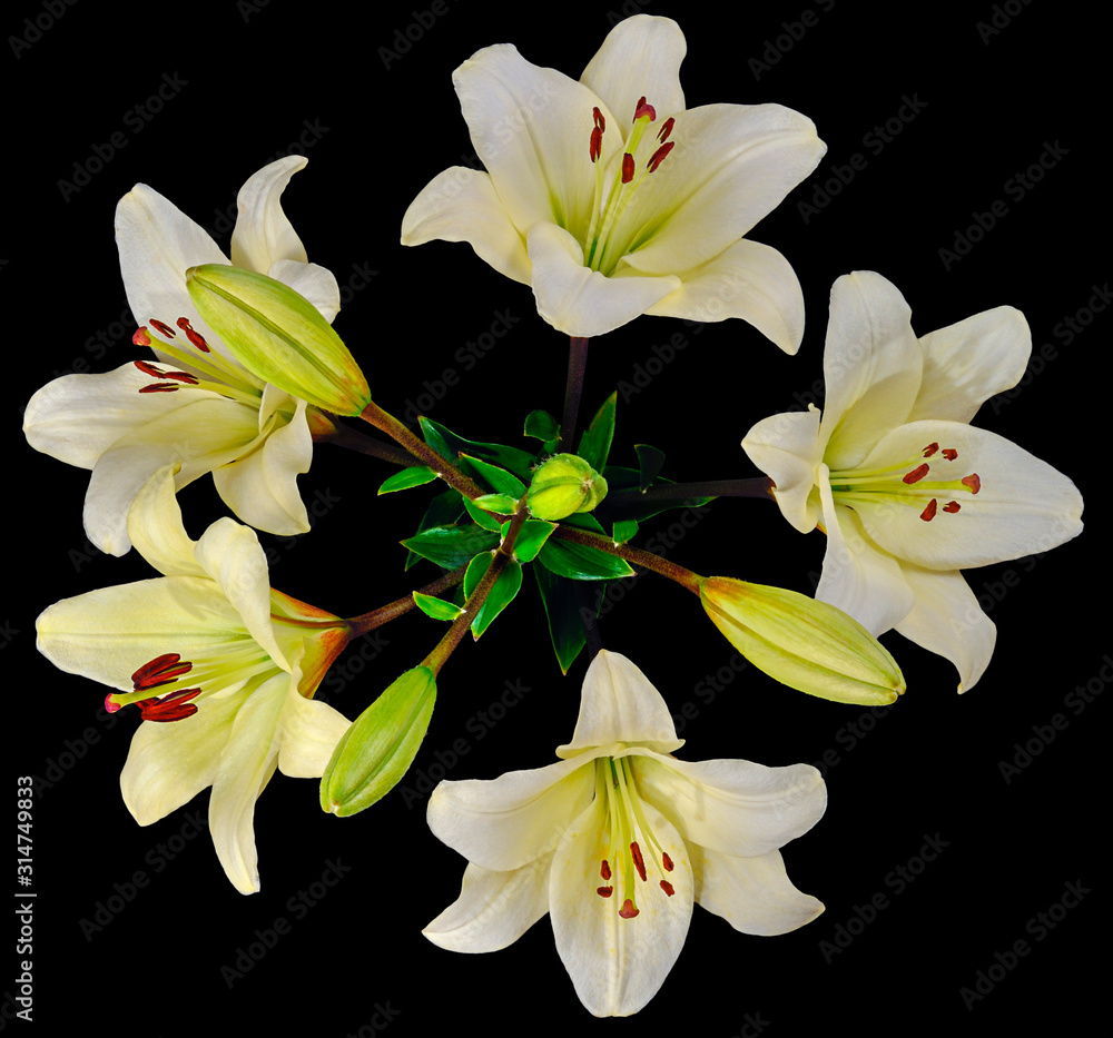 Fototapeta premium white Lily bouquet on top