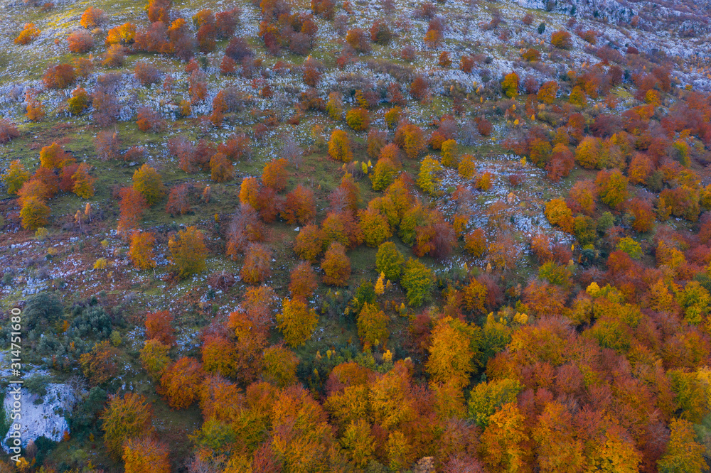 Aerial view, Landscape in autumn, Beech forest, Ramales de la Victoria, Alto Ason, Cantabria, Spain, Europe Aerial view, Landscape in autumn, Beech forest, Ramales de la Victoria, Alto Ason, Cantabria, Spain, Europe