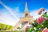 eiffel tour and Paris cityscape