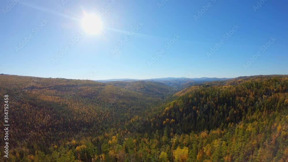 Flight above the forest. Aerial shot Flight above the forest. Aerial shot